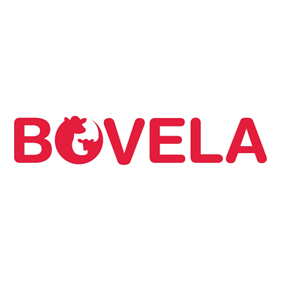 Bovela
